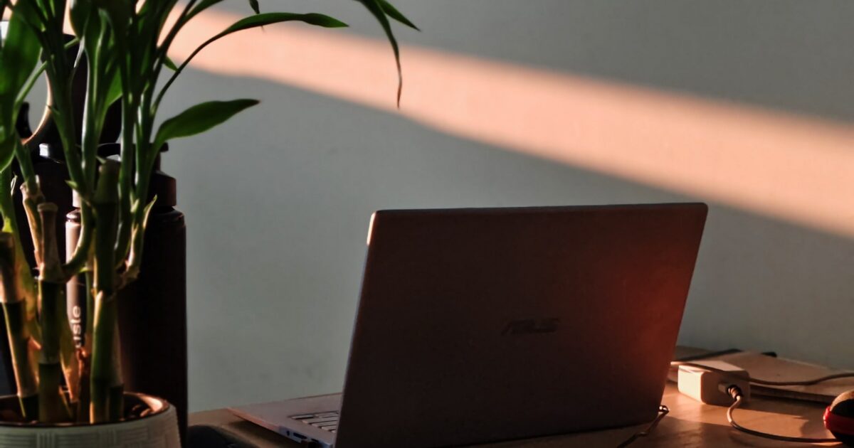 A laptop on a wooden desk with a potted plant in the foreground, bathed in warm sunlight from the side.