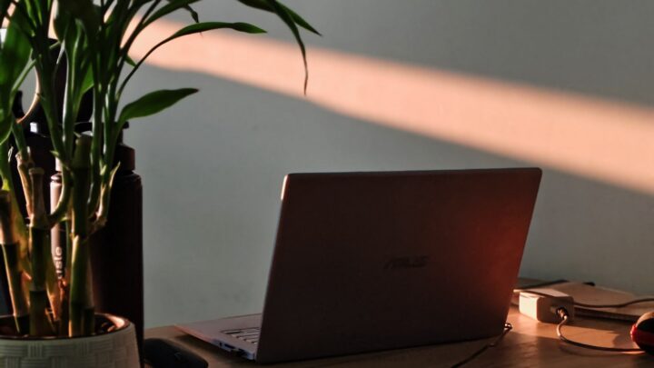 A laptop on a wooden desk with a potted plant in the foreground, bathed in warm sunlight from the side.