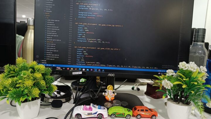 A view of the office desk with a monitor, water bottle, indoor plants, and cables.